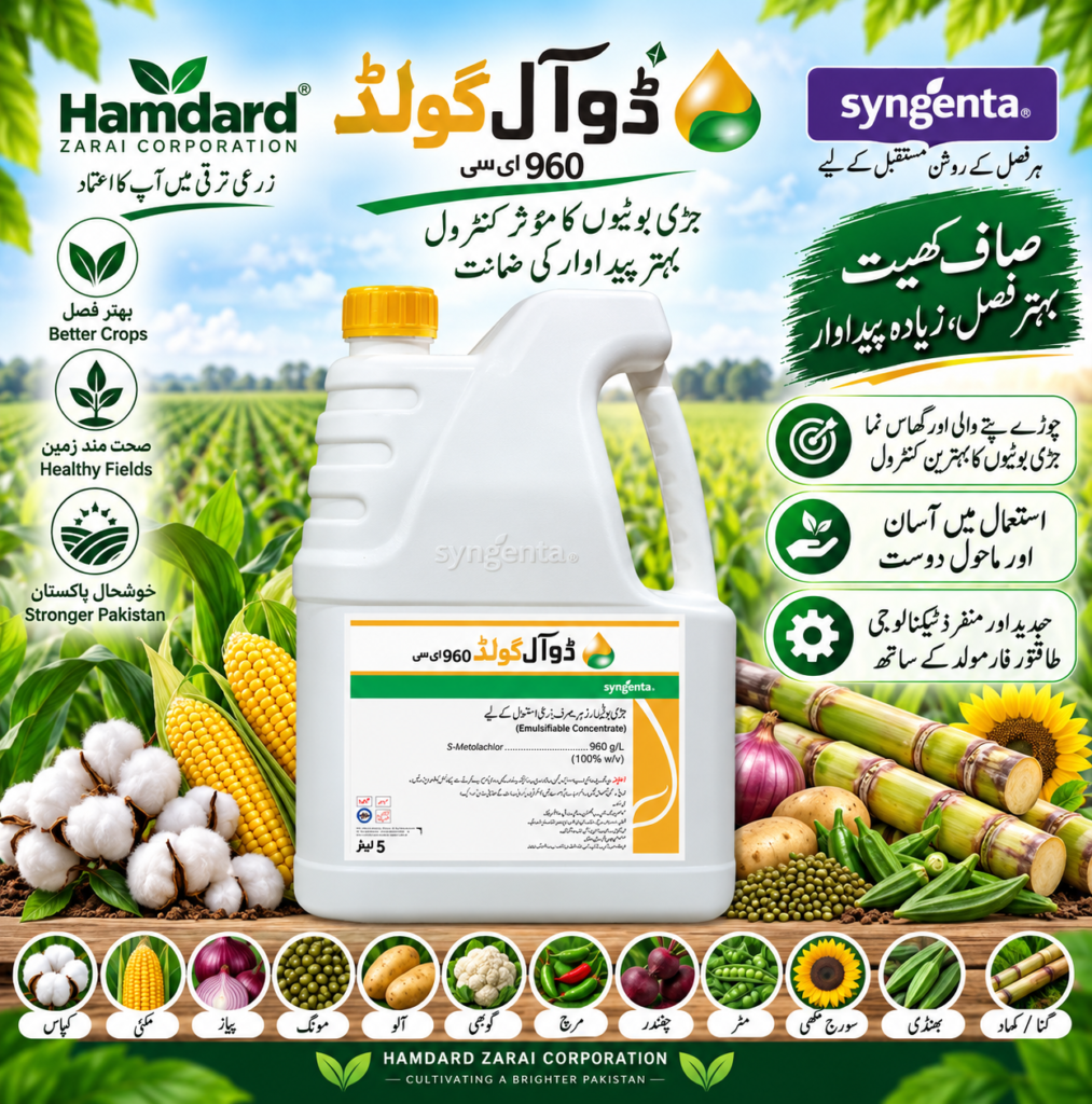 DUAL GOLD 960 EC 5L – فصلوں میں جڑی بوٹیوں کے کنٹرول کیلئے Herbicide | Syngenta