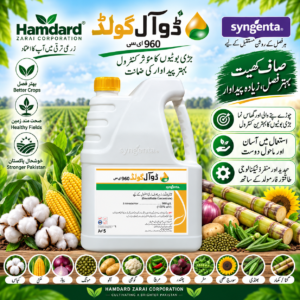 DUAL GOLD 960 EC 5L – فصلوں میں جڑی بوٹیوں کے کنٹرول کیلئے Herbicide | Syngenta