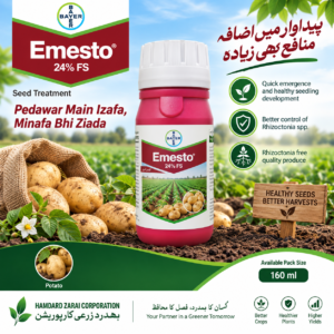 Emesto 24% FS 160ml Bayer seed treatment for potato Rhizoctonia solani
