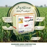 Findus Xtra 60WG 100g box selective post-emergent herbicide by Sungro for wheat crop weed control