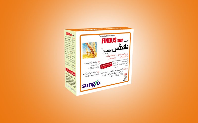 FINDUS XTRA 60WG – گندم میں دُنبنی سٹّی، جَوئی اور چوڑی پتی والی جڑی بوٹیوں کے مکمل خاتمے کیلئے Broad Spectrum Post-Emergent Herbicide | Sungro
