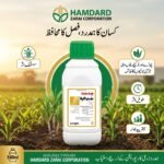 Flisto Gold Atrazine and Mesotrione post-emergent herbicide bottle for weed control in maize and sugarcane
