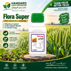 Flora Super Sungro post-emergence herbicide for broadleaf weed control in wheat