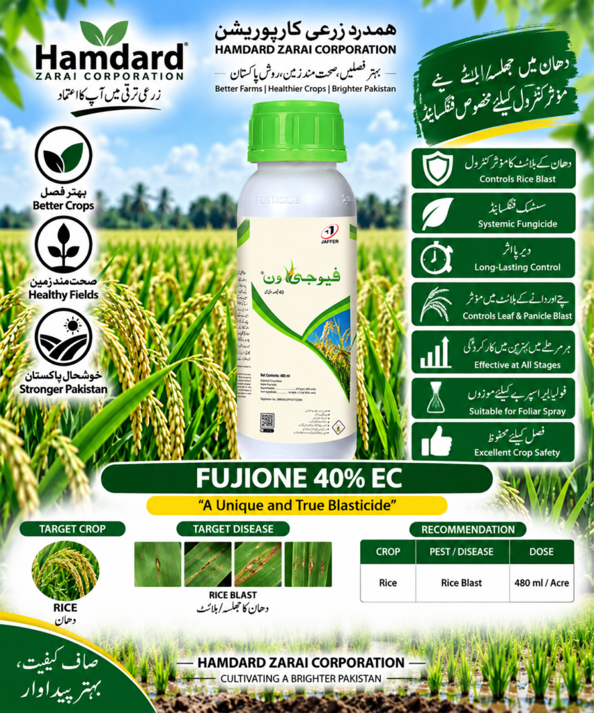 FUJIONE 40% EC 480ML – دھان میں Rice Blast کے مؤثر کنٹرول کیلئے Systemic Fungicide | Jaffer