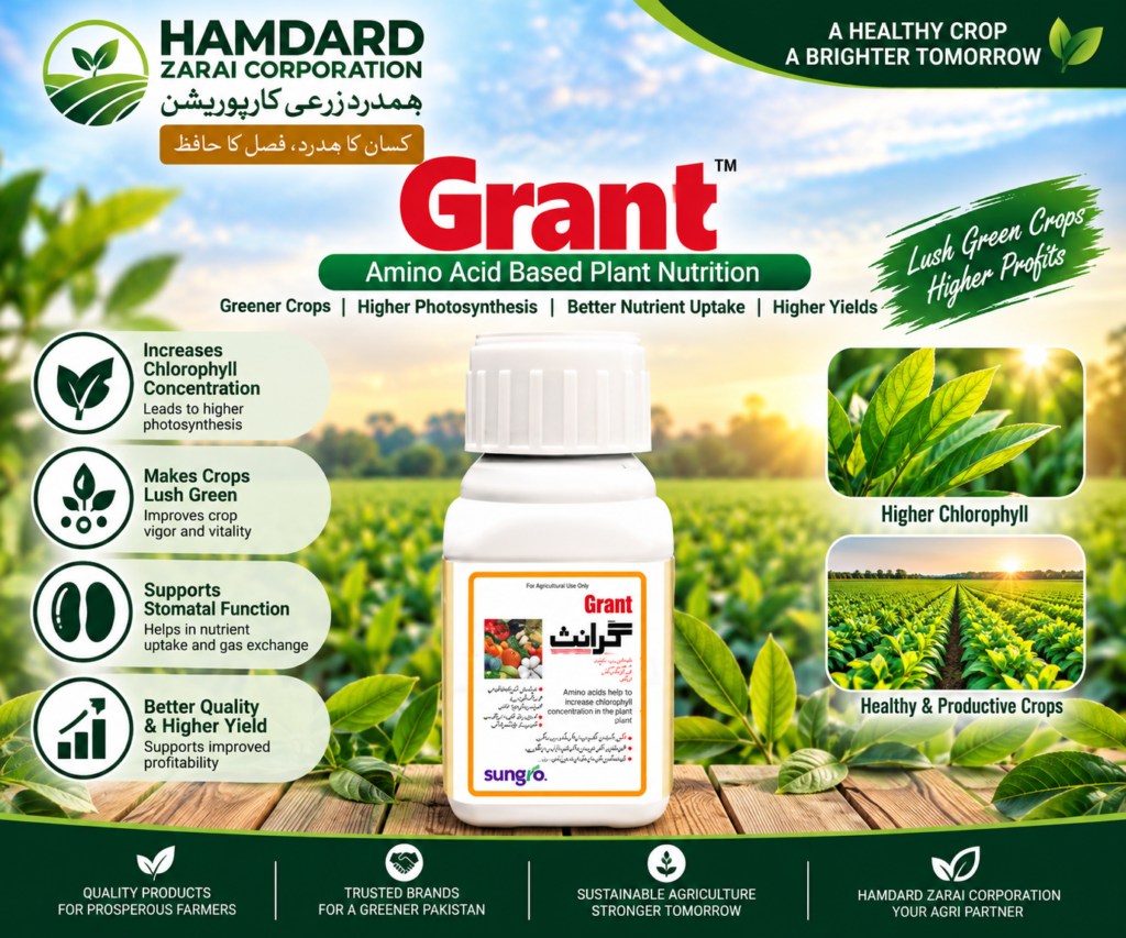 Grant Amino Acid Plant Nutrition – کلوروفل اور Photosynthesis بہتر بنانے کیلئے Plant Biostimulant | Sungro