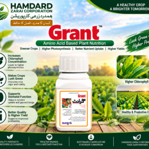 Grant Amino Acid Plant Nutrition – کلوروفل اور Photosynthesis بہتر بنانے کیلئے Plant Biostimulant | Sungro