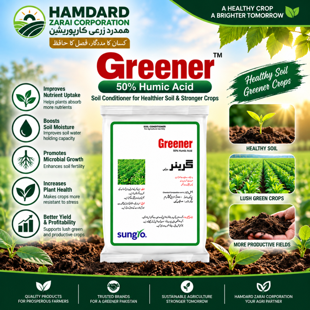 Greener 50% Humic Acid – مٹی کی صحت، غذائی اجزاء کے حصول اور فصل کی بہتر نشوونما کیلئے Soil Conditioner | Sungro