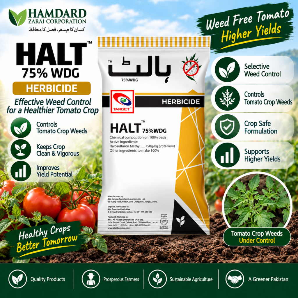 Halt 75% WDG – Tomato Crop Weeds Control Herbicide | Target