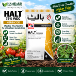 Target Halt 75% WDG herbicide containing Halosulfuron Methyl for tomato crop weeds