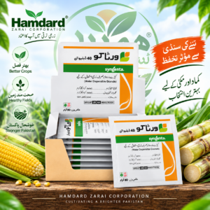 VIRTAKO 40 WG 40GM – مکئی اور کماد کیلئے تنے کی سنڈی کی کیڑے مار دوا | Syngenta