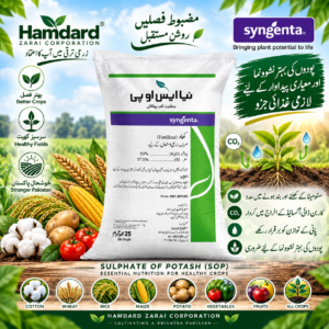 NAYA Sulphate of Potash (SOP) 25KG – پوٹاش کھاد | Syngenta