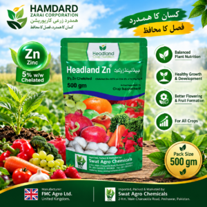 HEADLAND Zn 5% Chelated 500GM – Chelated Zinc Crop Supplement تمام فصلوں کے لیے | Headland