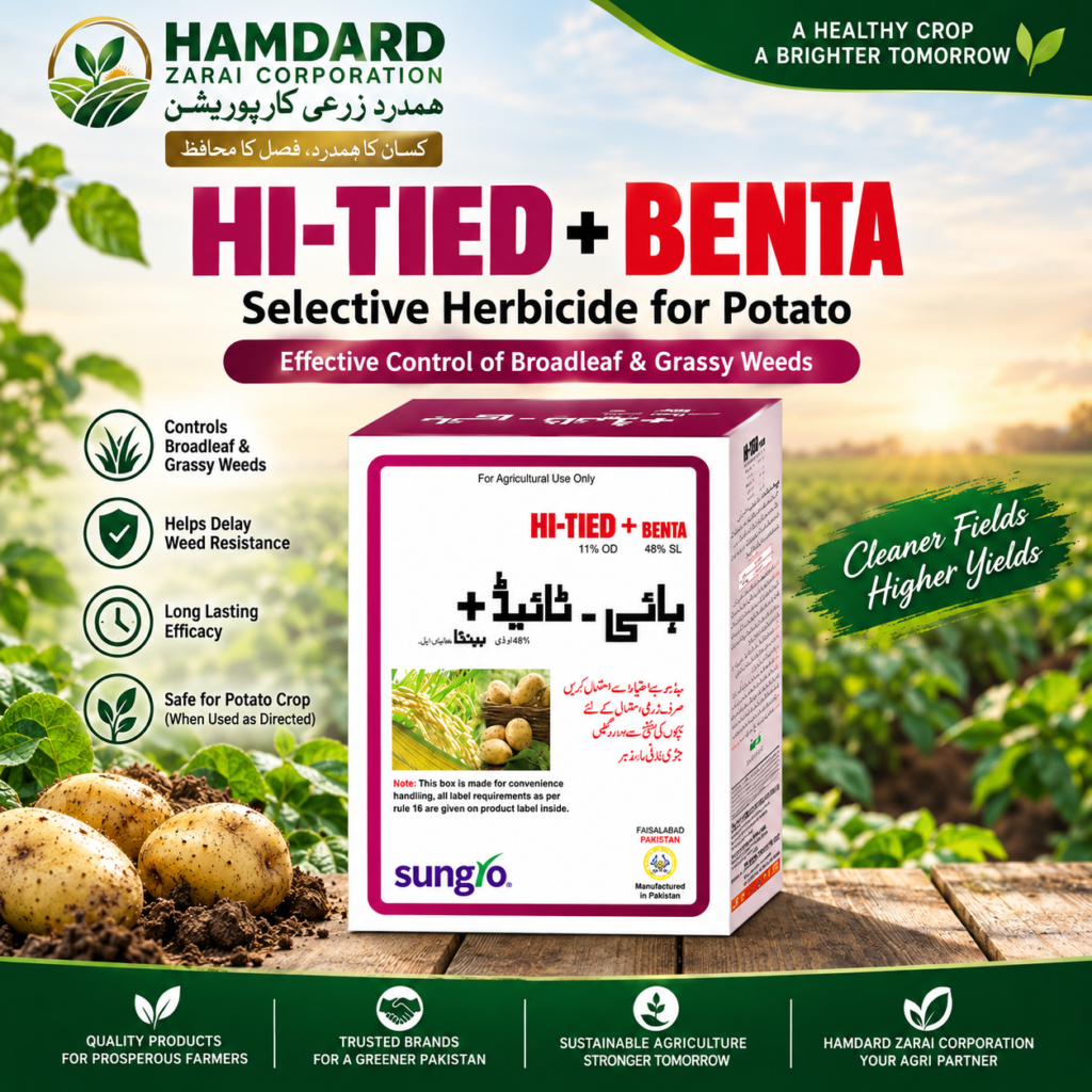 HI-TIED + BENTA – آلو کی فصل میں گھاس اور چوڑے پتوں والی جڑی بوٹیوں کے کنٹرول کیلئے Post-Emergence Herbicide | Sungro