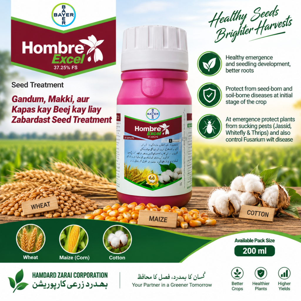 HOMBRE EXCEL 37.25% FS 200ML – گندم، مکئی اور کپاس کے بیجوں کے لیے مؤثر Seed Treatment | Bayer