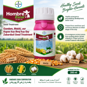 HOMBRE EXCEL 37.25% FS 200ML – گندم، مکئی اور کپاس کے بیجوں کے لیے مؤثر Seed Treatment | Bayer