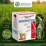 Syngenta Incipio 200SC 120ml pack for rice stem borer and leaf folder contro