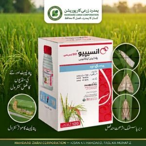 Syngenta Incipio 200SC 120ml pack for rice stem borer and leaf folder contro