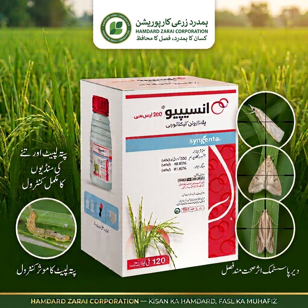 INCIPIO 200SC 120ML – دھان میں پتہ لپیٹ اور تنے کی سنڈی کے مکمل خاتمے کیلئے Insecticide