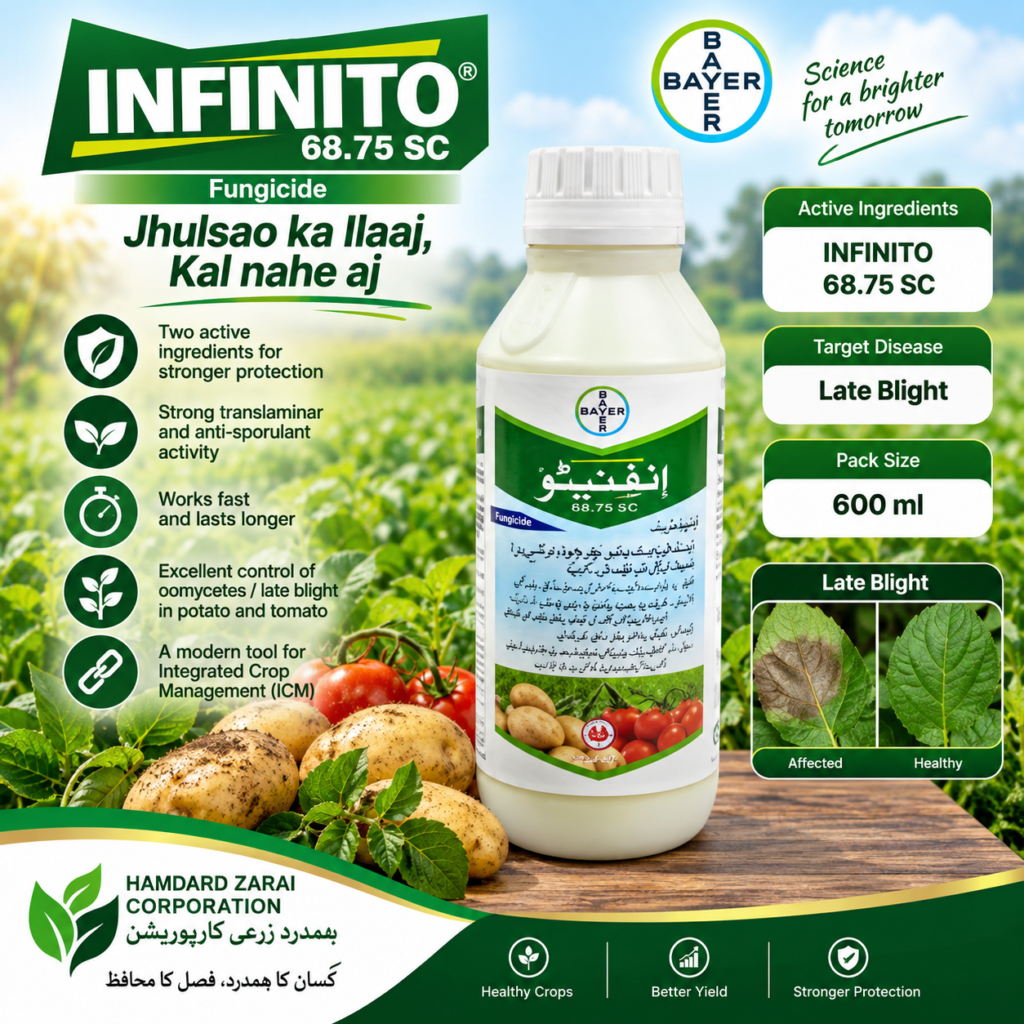 INFINITO 68.75 SC 600ML – آلو اور ٹماٹر میں جھلساؤ کے مؤثر انتظام کیلئے Fungicide | Bayer