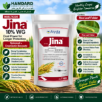 Jina 10% WG 160G Arysta LifeScience insecticide for Rice Leaf Folder control
