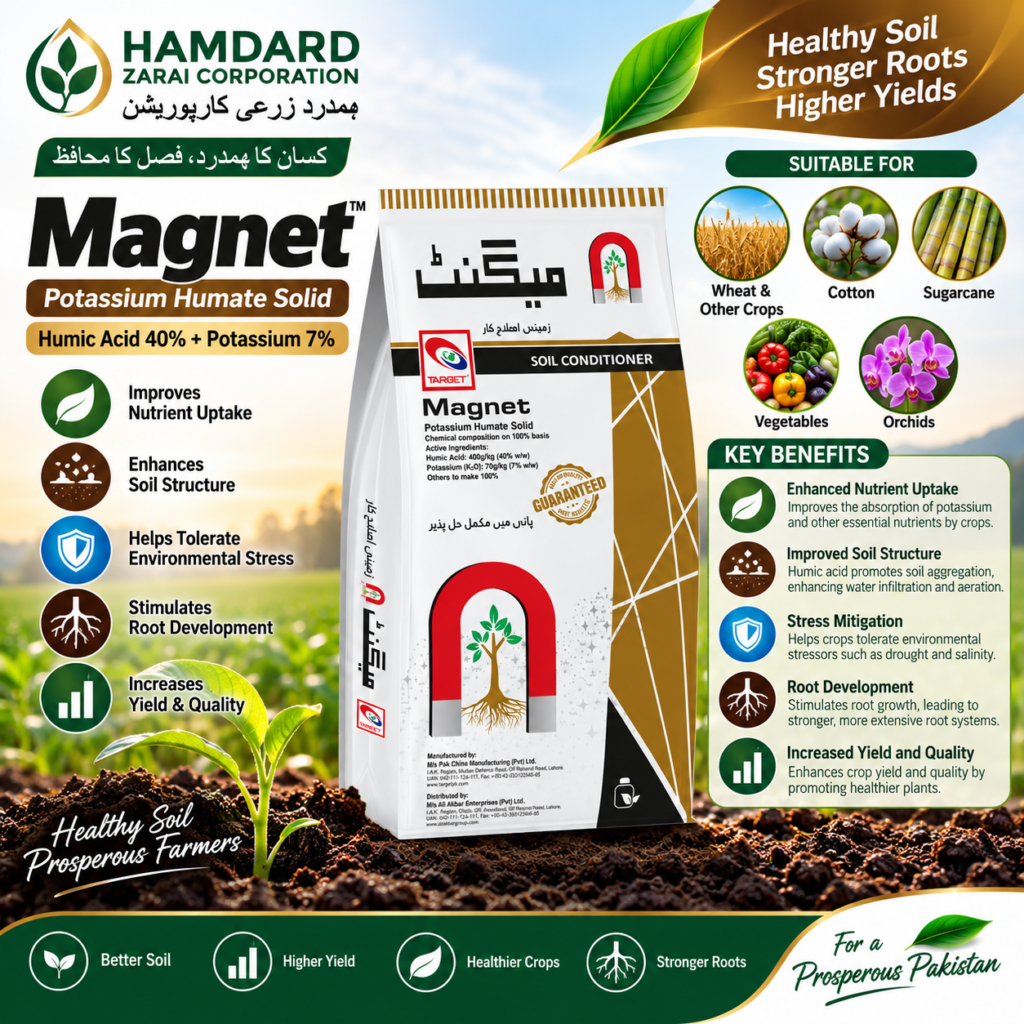 Magnet Potassium Humate Solid – Humic Acid 40% + Potassium 7% for Wheat, Cotton & Sugarcane | Target