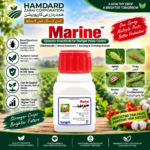 Sungro Marine insecticide containing Chlothiandin for crop pest control