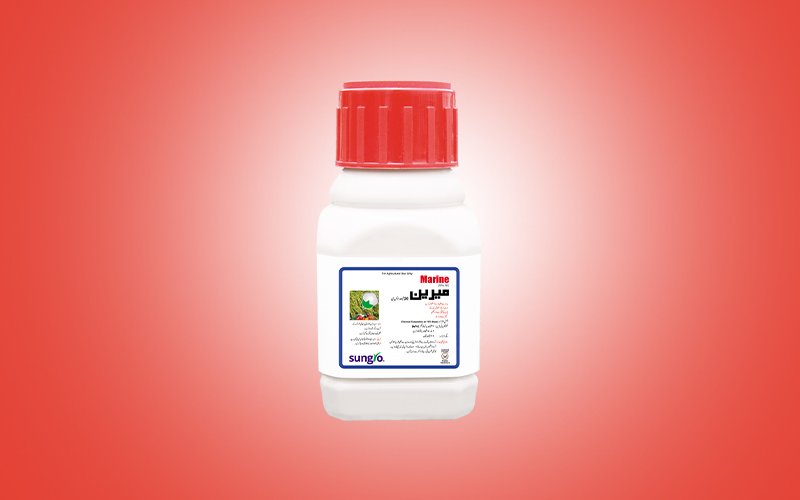 Marine Insecticide – Chlothiandin for Sucking & Chewing Insect Control | Sungro