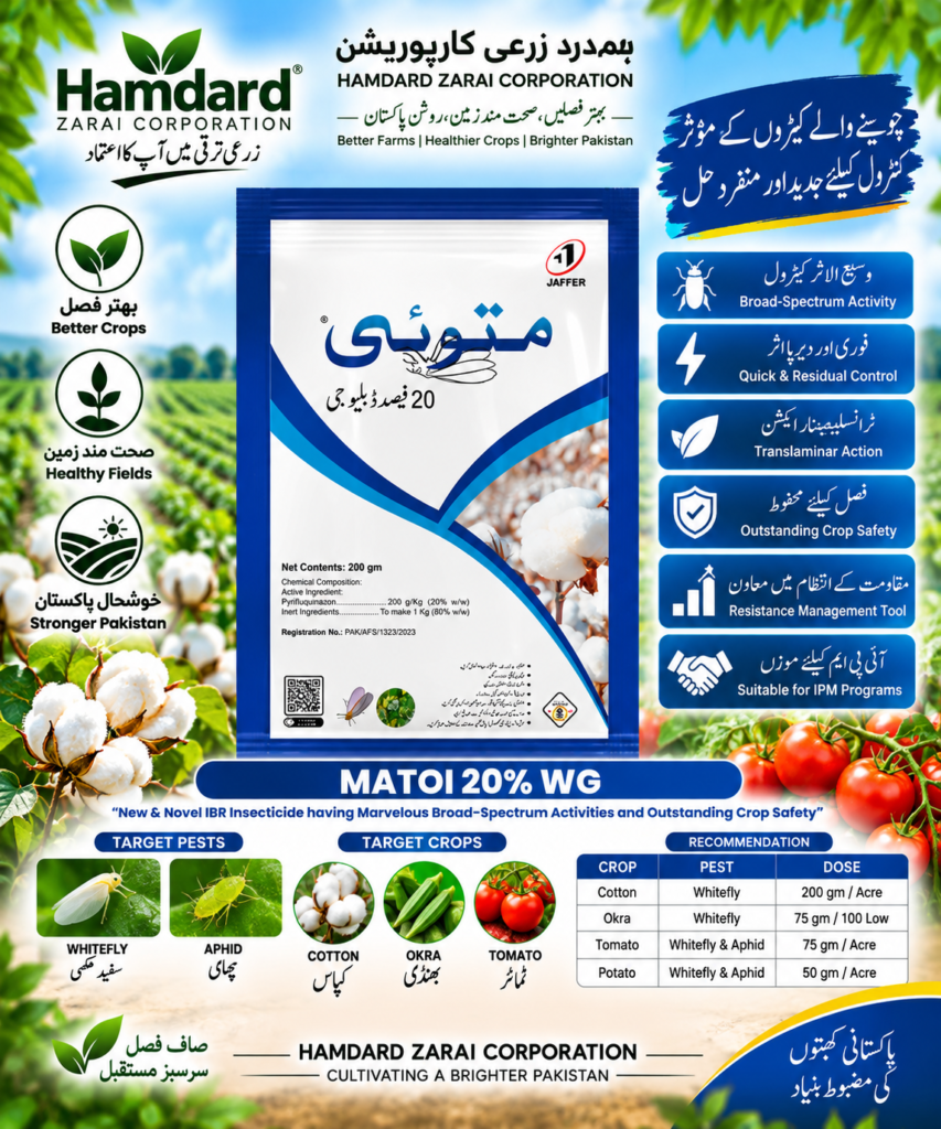 MATOI 20% WG 200GM – سفید مکھی اور رس چوسنے والے کیڑوں کیلئے جدید Insecticide | Jaffer