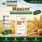 Sungro Mauzer 75% WG herbicide for weed control in wheat crops