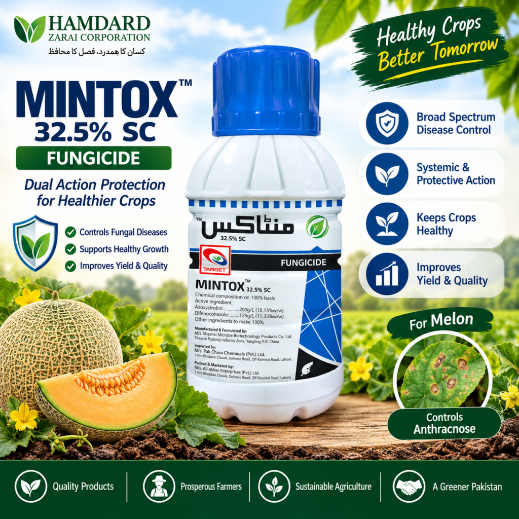 Mintox 32.5% SC – خربوزہ میں Anthracnose کے کنٹرول کیلئے Fungicide | Target