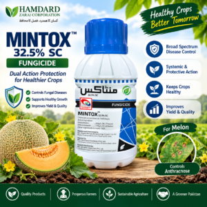 Target Mintox 32.5% SC fungicide for Anthracnose in melon