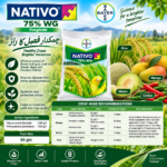 Nativo 75% WG Bayer 65 gm fungicide pack
