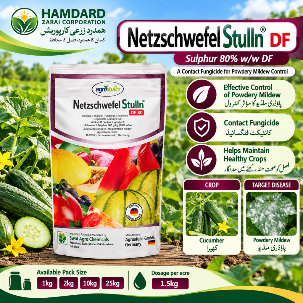 Netzschwefel Stulln DF 80 – کھیرے میں Powdery Mildew کے کنٹرول کیلئے Fungicide | 1kg, 2kg, 10kg & 25kg
