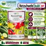 Netzschwefel Stulln DF 80 Sulphur fungicide for Powdery Mildew in cucumber