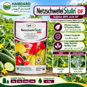Netzschwefel Stulln DF 80 – کھیرے میں Powdery Mildew کے کنٹرول کیلئے Fungicide | 1kg, 2kg, 10kg & 25kg