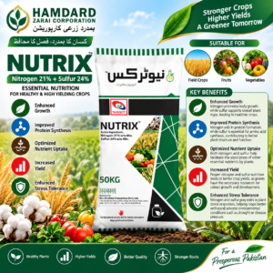 Nutrix Nitrogen 21% + Sulfur 24% 50KG – Field Crops, Fruits & Vegetables کیلئے غذائی اجزاء | Target