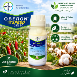 Bayer Oberon Speed 24% SC 100ml insecticide for Mites and Thrips