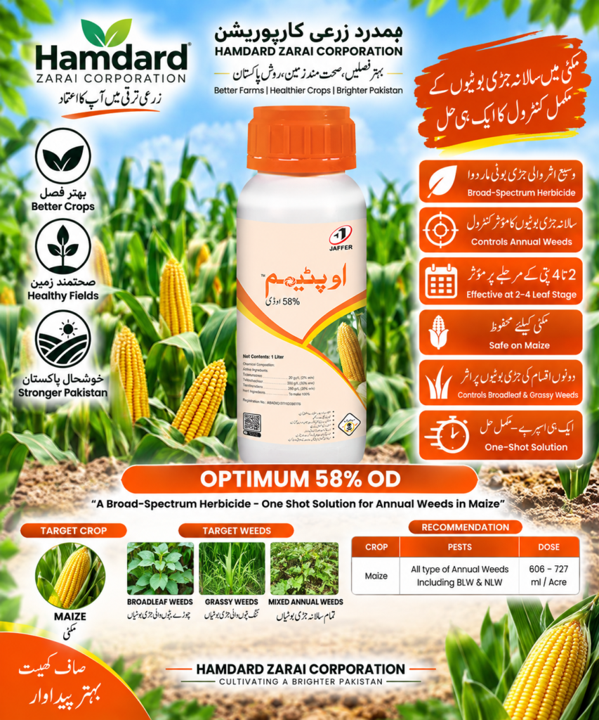 OPTIMUM 58% OD 1L – مکئی میں سالانہ چوڑے پتے اور گھاس نما جڑی بوٹیوں کیلئے Herbicide | Jaffer