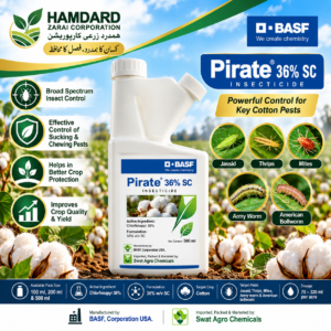 PIRATE 36% SC 100–500ml – کپاس میں Jassid, Thrips, Mites اور Bollworms کے کنٹرول کیلئے Insecticide | BASF