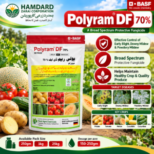 Polyram DF 70% – آلو، ٹماٹر اور Cucurbits میں Blight & Mildew کے کنٹرول کیلئے Fungicide | 250gm, 1kg & 25kg | BASF
