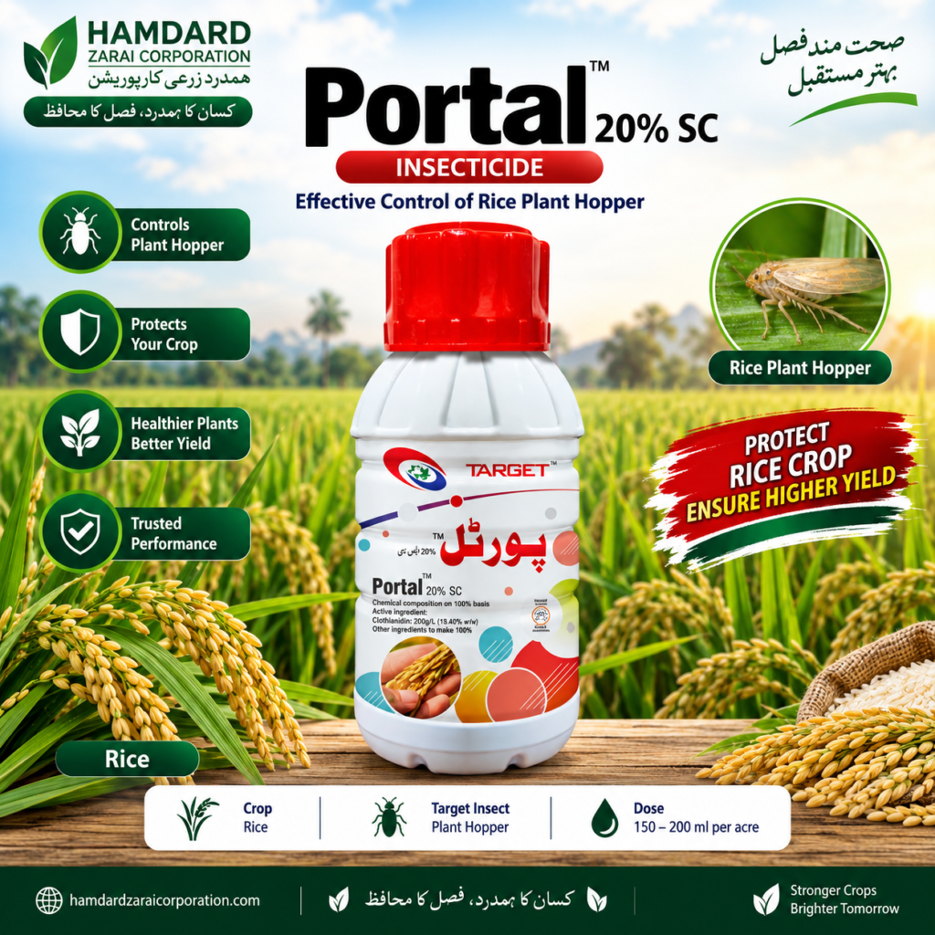 Portal 20% SC – چاول میں Plant Hopper کے مؤثر کنٹرول کیلئے Insecticide | Target