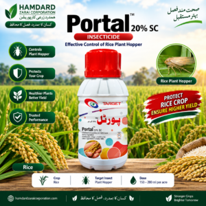 Portal 20% SC – چاول میں Plant Hopper کے مؤثر کنٹرول کیلئے Insecticide | Target