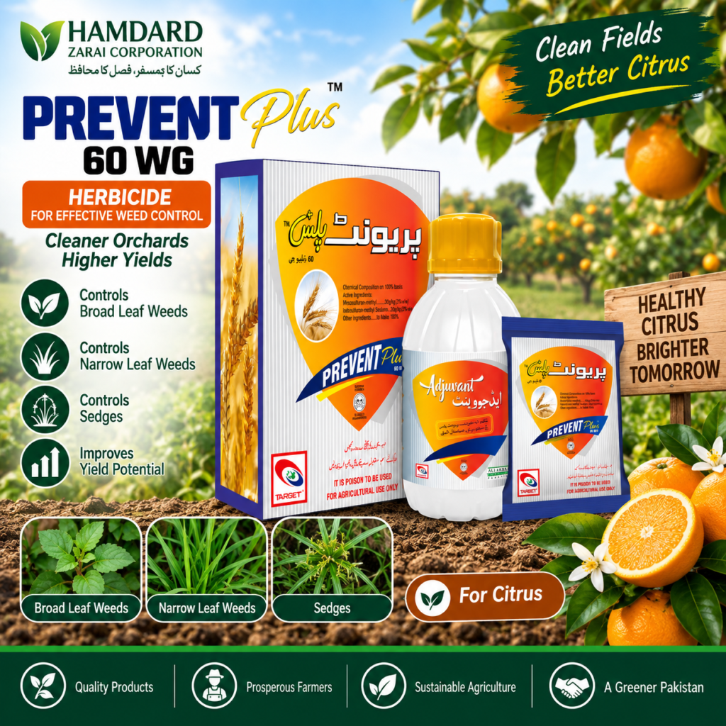 Prevent Plus 60 WG – Citrus میں Broad & Narrow Leaf Weeds اور Sedges کے کنٹرول کیلئے Herbicide | Target