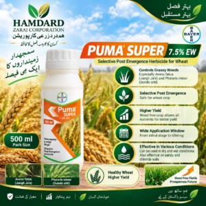 PUMA SUPER 7.5% EW 500ML – گندم میں جڑی بوٹیوں کے مؤثر کنٹرول کیلئے Selective Post-Emergence Herbicide | Bayer