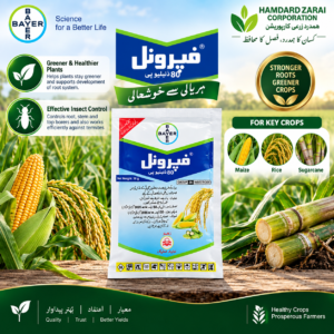 Bayer Regent 80 30g insecticide for borer and termite control