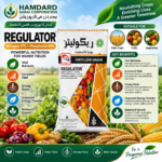 Regulator fertilizer bag with Nitrogen 17% and Phosphorus 44% for field crops fruits and vegetables