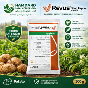 REVUS START PEPITE 430 WG 200GM – آلو میں پچھیتا جھلساؤ کے مؤثر کنٹرول کیلئے Fungicide | Syngenta