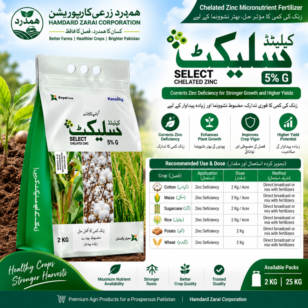 SELECT Chelated Zinc 5% G 2KG – زنک کی کمی دور کرنے اور بہتر Crop Growth کیلئے Micronutrient Fertilizer