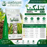 SELECT Chelated Zinc 5% G 2KG micronutrient fertilizer for zinc deficiency