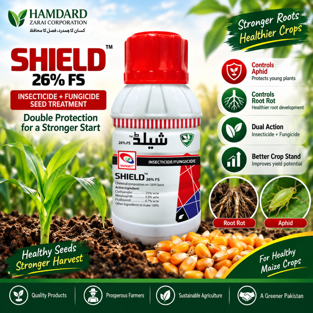 Shield 26% FS – مکئی میں Root Rot اور Aphid کے کنٹرول کیلئے Insecticide/Fungicide Seed Treatment | Target